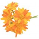 Chaks 13271-17, Mini-bouquet de 6 Marguerites 11cm sur tige, Orange