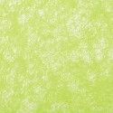 DESTOCKAGE, Rouleau déco luxe Romance 60cm x 10m, Vert lime
