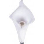 Chaks 0305, Sachet de 6 Arums perles blancs 2,5cm sur pince 