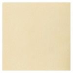 Sachet de 25 Grandes SERVIETTES Airlaid 40 x 40cm, ivoire