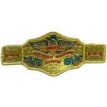 Ceinture de Champion du monde (catch, boxe)