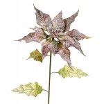 DIGE n17sr32 - Une branche de Poinsettia mauve et vert de 65 cm