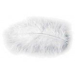 Chaks 0702-00, Sachet 10g de 100 plumes 5-10cm, Blanc