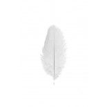Chaks 0717-00, Sachet de 5 Plumes d'Autruche 20-25cm, Blanc
