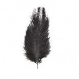 Chaks 0717-10, Sachet de 5 Plumes d'Autruche 20-25cm, Noir