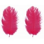 Sachet de 2 Plumes d'Autruche 30-35cm, Fuchsia