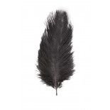 Sachet de 2 Plumes d'Autruche 30-35cm, Noir