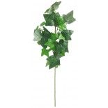 Chaks 10839, Branche de Lierre 60cm, Vert