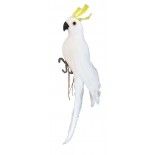 Chaks 10909, Perroquet Cacatoès blanc crête jaune à suspendre 25cm