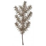 Chaks 11493-37, Pic Branche Sapin pailleté 25cm, Champagne