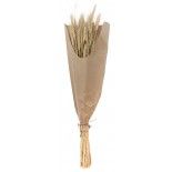 Chaks 11576, Bouquet d'Epis de blé 70cm, Naturel