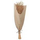 Chaks 11578, Bouquet de Lin 60cm, Naturel