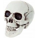P'TIT Clown re11690 - Crâne de squelette à poser 21 cm