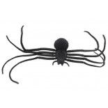 Araignée noire longues pattes 40cm