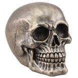 Crâne résine Bronze déco 15cm