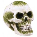 Crâne résine avec mousse verte 15,5cm