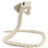 Squelette de Serpent Cobra articulé 100cm
