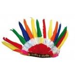 P'TIT Clown re18670 - Coiffe indien multicolore 14 plumes