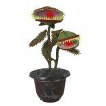 P'TIT Clown re19104, Plante Carnivore animée, sonore et lumineuse 36cm