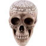 Crâne de squelette décoré pentagramme 20 cm