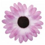 Sachet de 24 Marguerites de TABLE, parme