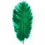 DESTOCKAGE, Lot de 5 Plumes d'Autruche Spadona 50cm, Vert