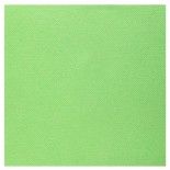 Sachet de 25 serviettes Rainbow Airlaid 40 x 40, Vert