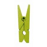 Sachet de 24 mini pinces en bois, Vert