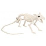 Squelette de Rat 46cm