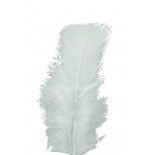 Sachet de 100 Plumes pied plat 15-18cm, Blanc