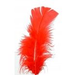 Sachet de 100 Plumes pied plat 15-18cm, Rouge