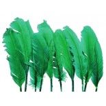 Sachet de 10 Plumes de dinde 30-35cm, Vert