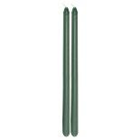 Set de 2 bougies Flambeau 30cm, vert Jungle