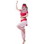 Déguisement Danseuse orientale Sheba adulte