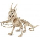 Squelette de Dragon 35 cm