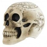 Party Pro 902418, Crâne squelette pentagramme 18cm