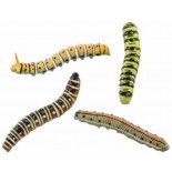 Chaks 90583, Set de 4 insectes grandes Limaces assorties