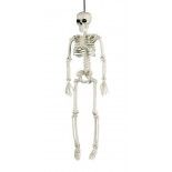 Party Pro 91202540, Squelette humain pvc 40cm
