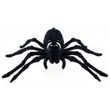 Araignée squelette noire floquée 22cm