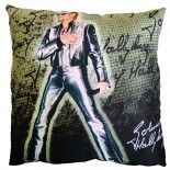 COUSSIN Johnny Hallyday argenté 33cm