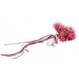 Bouquet de 3 Scabieuses avec rubans, Fuchsia