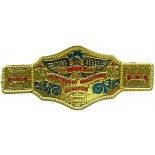 Ceinture de Champion du monde (catch, boxe) en plastique