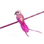 Oiseau Perruche en plumes 13cm sur pince, Fuchsia