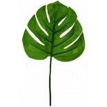 Feuille de Philodendron tropicale 60cm