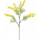 Tige de MIMOSA 3 branches 75cm, Jaune