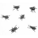 Lot de 6 Insectes noirs pvc 6cm