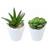 Petite Plante Succulente artificielle assortie en pot