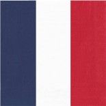 Party Pro 913VLF3, Set de 16 serviettes France