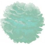 Party Pro 50244, Boule Pompon Papier De Soie Vert menthe 40 cm