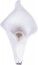 Chaks 0305, Sachet de 6 Arums perles blancs 2,5cm sur pince